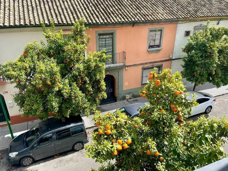 Apartamento El Balcon De Los Naranjos Córdoba