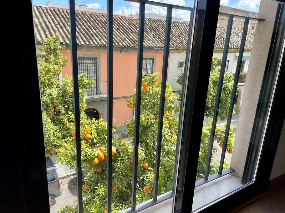El Balcon De Los Naranjos Cordova
